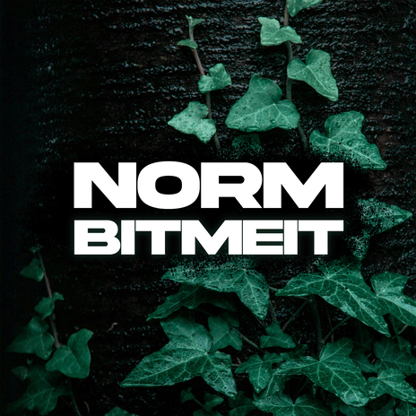 Norm | Boomplay Music