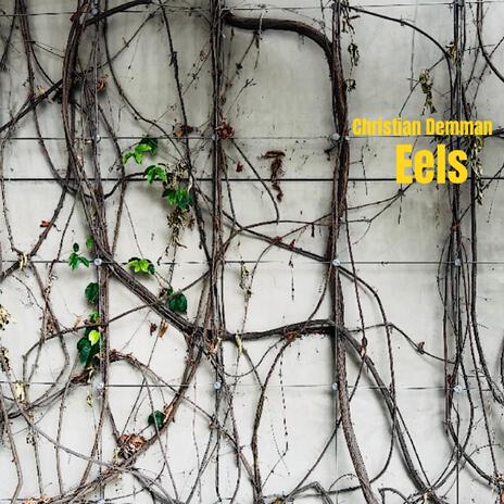 Eels | Boomplay Music