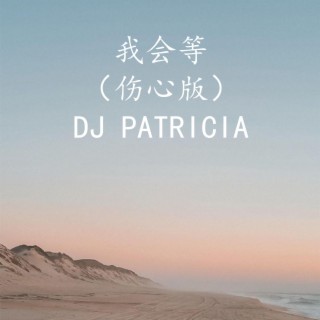 我会等(伤心版）-DJ PATRICIA
