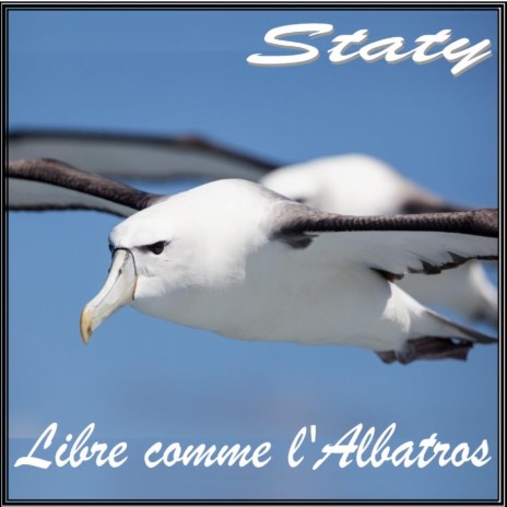 Libre comme l'albatros | Boomplay Music