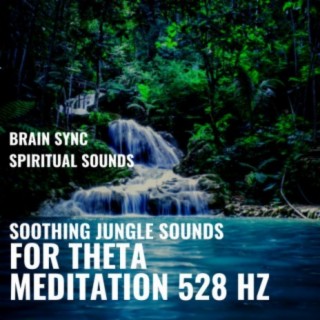 Soothing Jungle And Rainforest Sounds For Theta Meditation 528hz