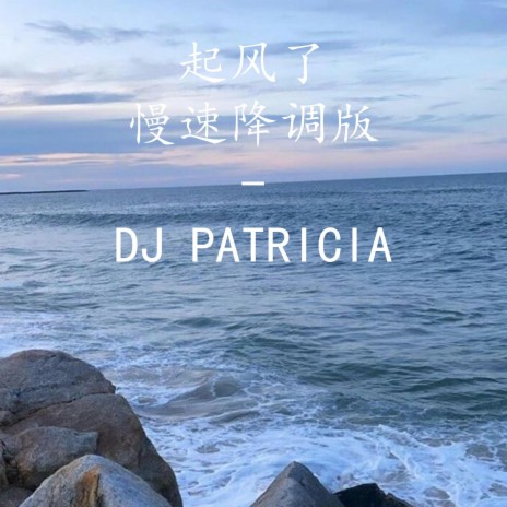 起风了 慢速降调版-DJ PATRICIA