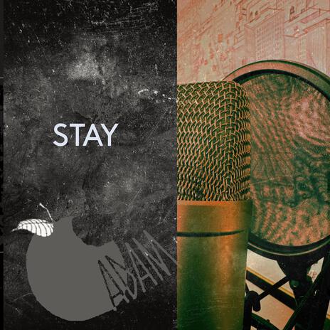 Stay | Boomplay Music