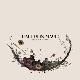Halt Dein Maul! lyrics | Boomplay Music