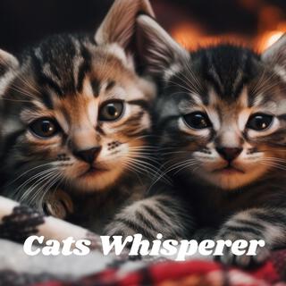 Cats Whisperer: Sound Therapy for Pets, Anxiety Alleviation for Your Cat, Calm Companions