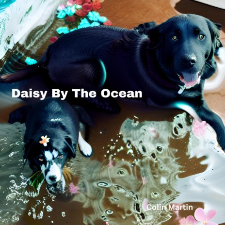 Daisy By The Ocean | Boomplay Music