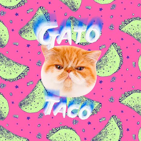 Gato Taco | Boomplay Music