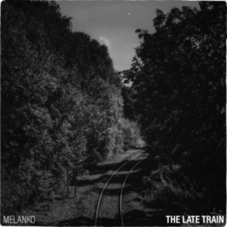 The Late Train