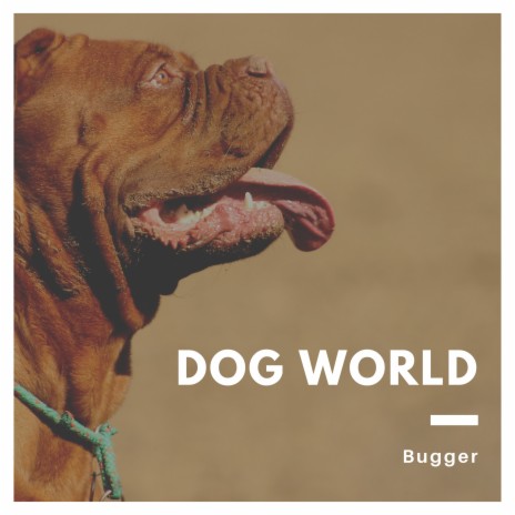 Dog World | Boomplay Music