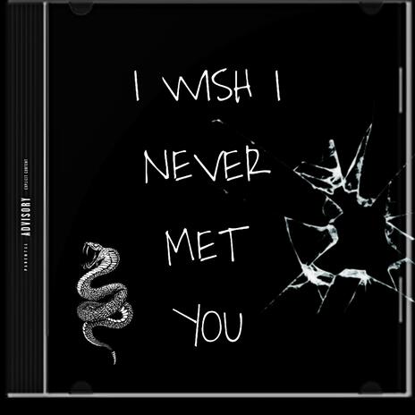 I Wish I Never Met You