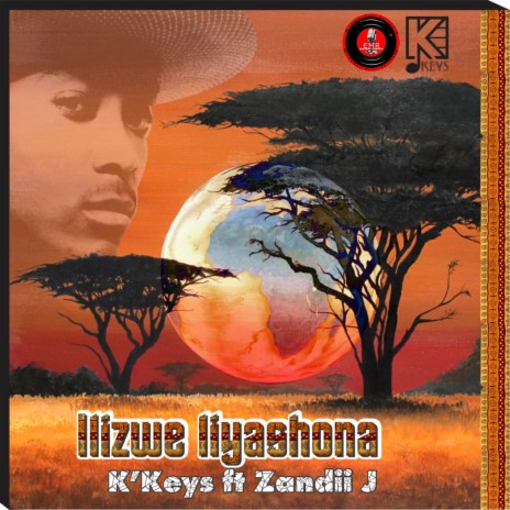 Ilizwe Liyashona (feat. Zandii J) | Boomplay Music
