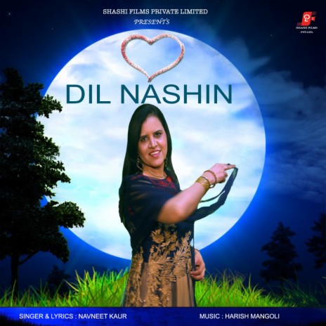 Dil Nashin | Boomplay Music