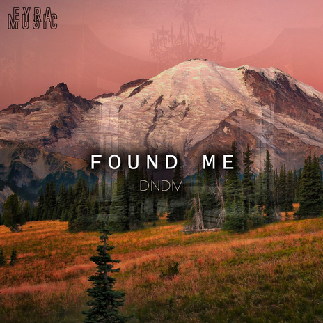 Found Me | Boomplay Music