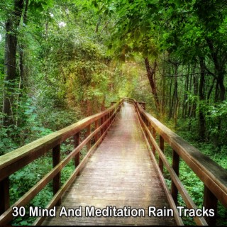 30 Mind And Meditation Rain Tracks