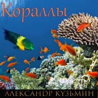 Кораллы