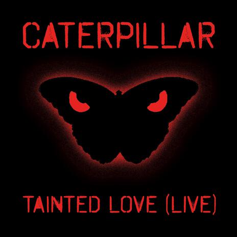 Tainted Love (Live) | Boomplay Music