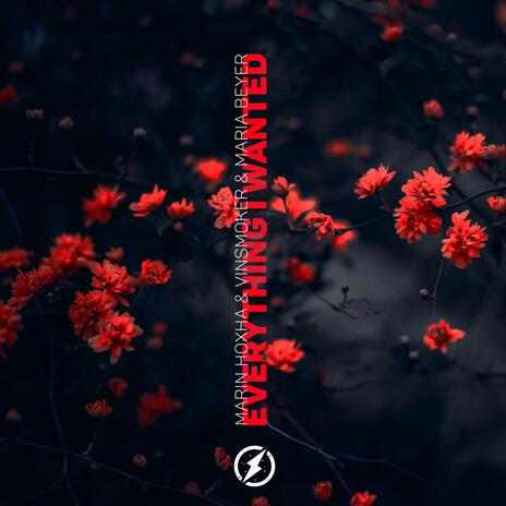 Everything I Wanted ft. Vinsmoker & Maria Beyer | Boomplay Music