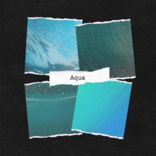 Aqua (feat. PDHBeats)