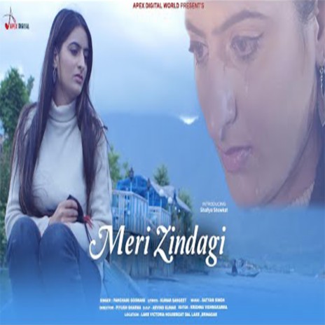 Meri Zindagi Ka Kissa | Boomplay Music