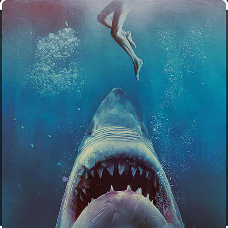 Shark in the water | Boomplay Music