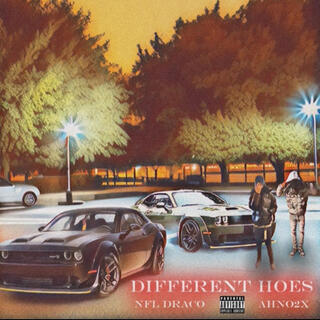 Different Hoes