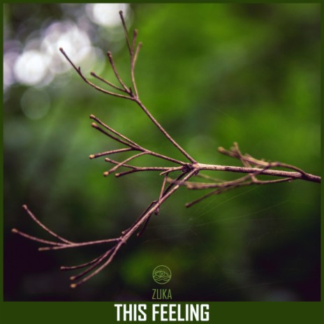 This Feeling (Original Mix)