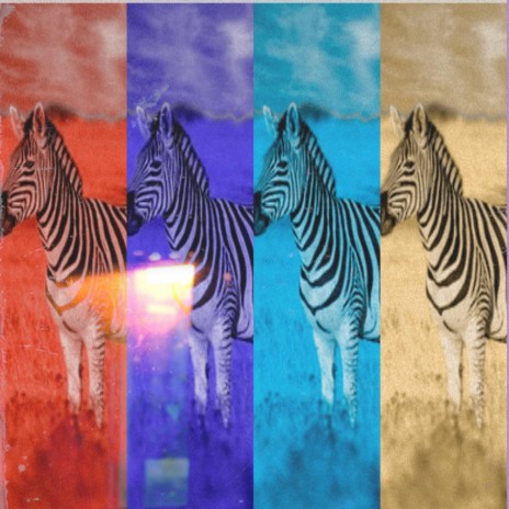 Zebra | Boomplay Music