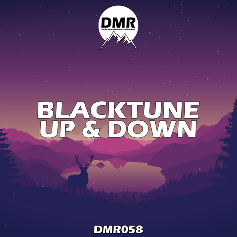 Up & Down | Boomplay Music