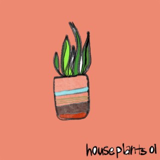 houseplants 01