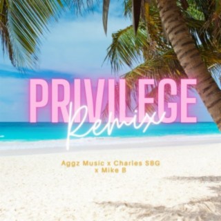 Privilege (feat. Aggz Music & Mikeb) [Remix]