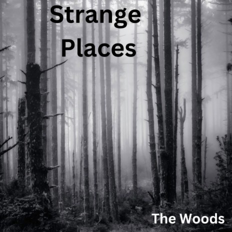 The Woods