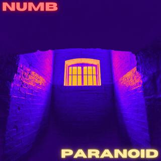 My Numb and Paranoid Interlude (broken hand version)