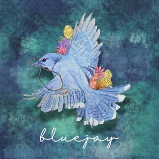 bluejay