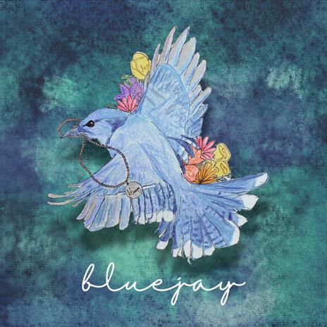 bluejay | Boomplay Music