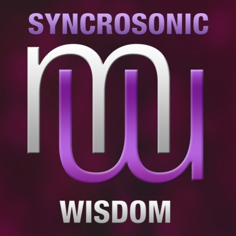 Wisdom (Radio edit)