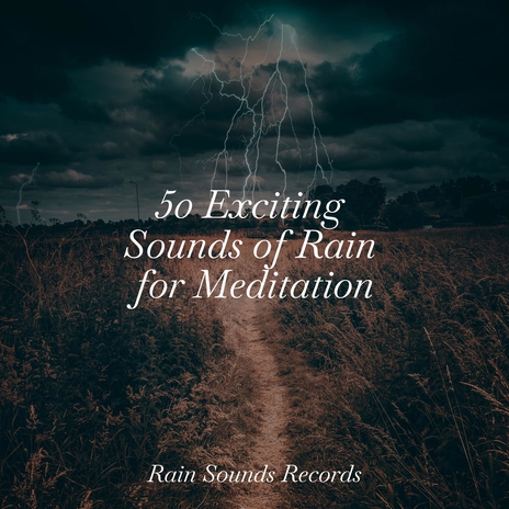 Raindance Reflections ft. Musica Para Dormir y Sonidos de la Naturaleza & Musica Relajante Specialistas & Musica Relajante | Boomplay Music