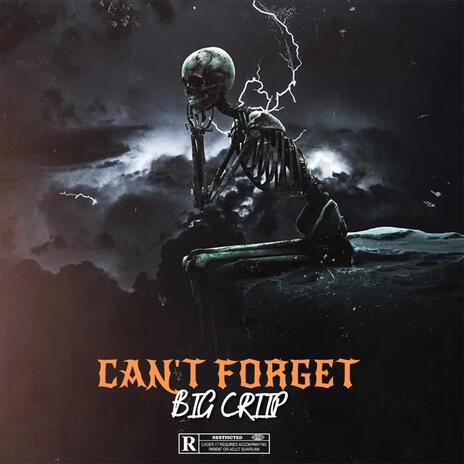 Can't forget | Boomplay Music