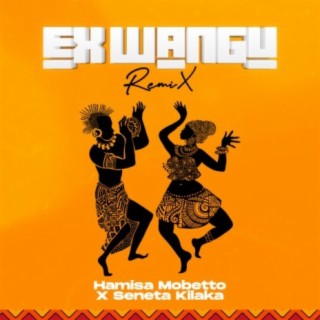 EX wangu (Remix) lyrics | Boomplay Music