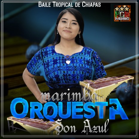 Zapateado Tenapateco ft. Marimba De Chiapas & Marimba Orquesta Son Azul | Boomplay Music