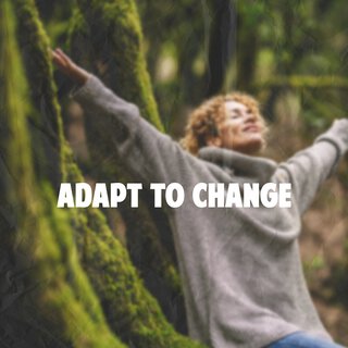 Adapt to Change