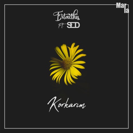 Korkarım (feat. Sed) | Boomplay Music