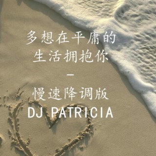 多想在平庸的生活拥抱你- 慢速降调版DJ PATRICIA