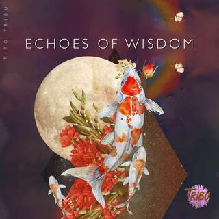 Echoes of Wisdom