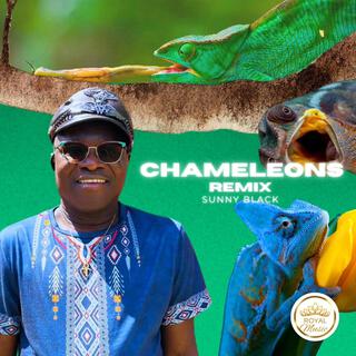 CHAMELEONS REMIX