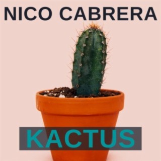 Kactus