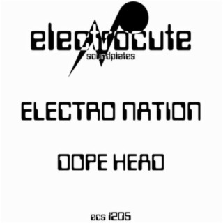 Electro Nation