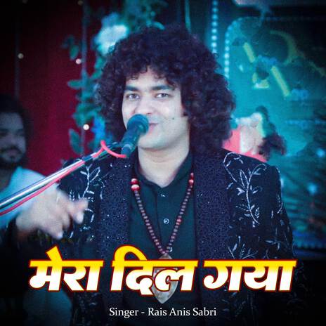 Mera Dil Gaiya | Boomplay Music