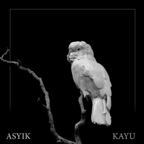 Kayu | Boomplay Music
