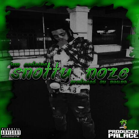 SNOTTY NOZE | Boomplay Music