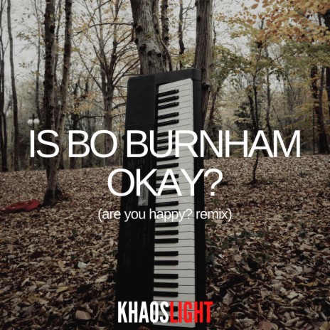 Is Bo Burnham Okay? (Are You Happy Remix)